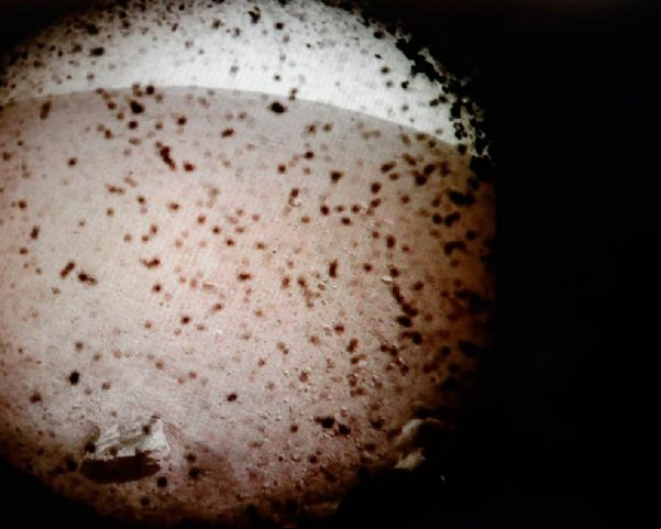 Sonda da Nasa pousa em Marte após sete meses de viagem
