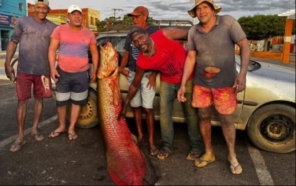 Malhada: Pescadores capturam pirarucu gigante de 92 kg e mais de dois metros.